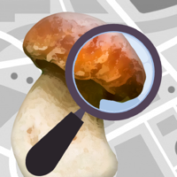 iOS 版 Mushroom Identificator