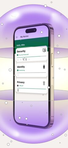 Norton 360 Security & VPN for iOS