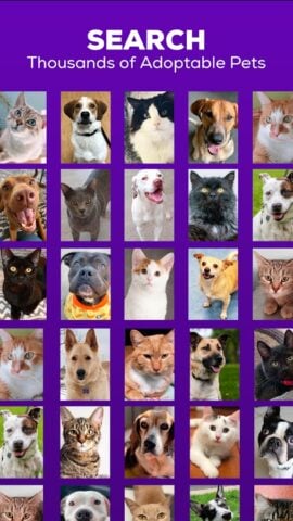 Petfinder – Adopt a Pet สำหรับ Android