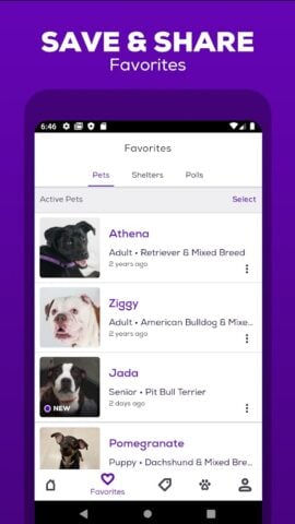 Android 版 Petfinder – Adopt a Pet