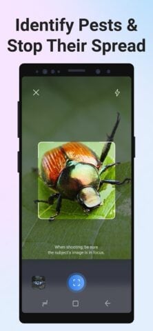 Android 用 Picture Insect：撮ったら、判る-1秒昆虫図鑑