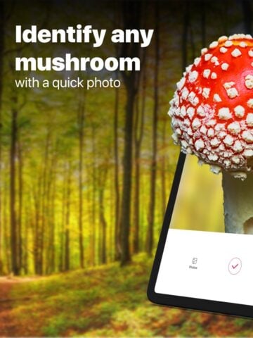 iOS 用 Picture Mushroom – 1秒キノコ図鑑