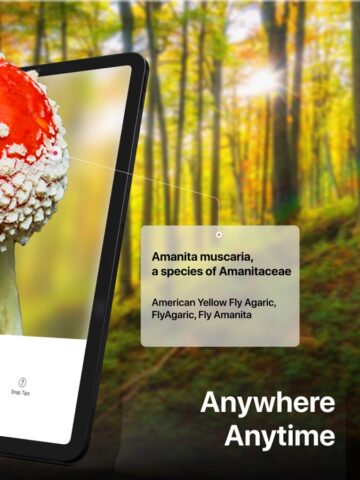 iOS için Picture Mushroom: Fungi finder