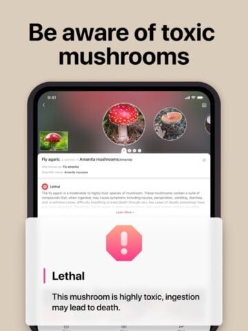 Picture Mushroom: Fungi finder cho iOS