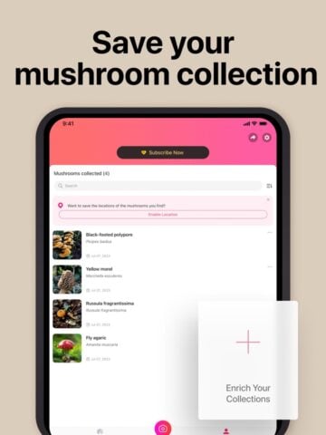Picture Mushroom — гриб для iOS