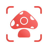 Picture Mushroom — гриб для iOS