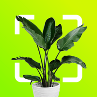 iOS 版 植物标识符:捕捉并查找, 植物識別