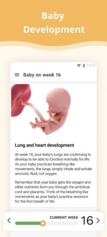 Календарь беременности для Android