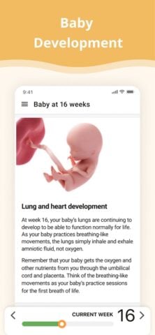 Pregnancy App. สำหรับ iOS