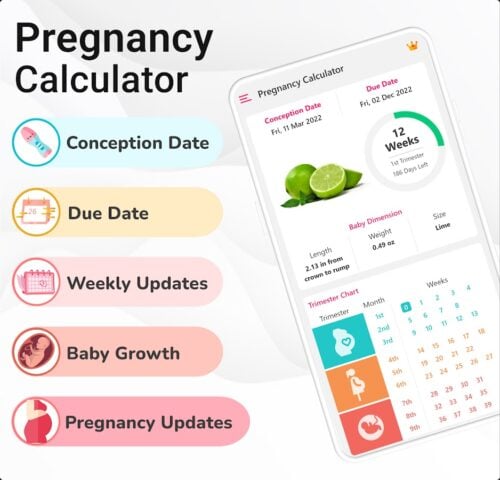 Calendario de embarazo Semanal para Android