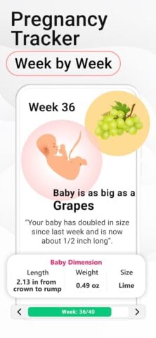 Pregnancy Calculator: Due Date для Android