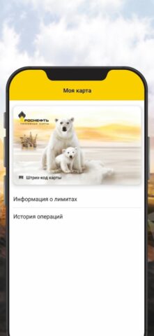 РН-Карт for iOS