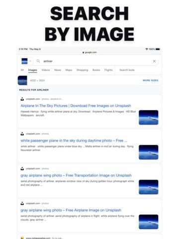 Reverse Image Search Extension per iOS