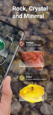 Rock Identifier: Stone ID untuk Android