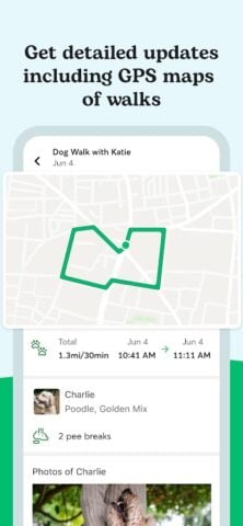 Rover – Dog sitting e walking per Android