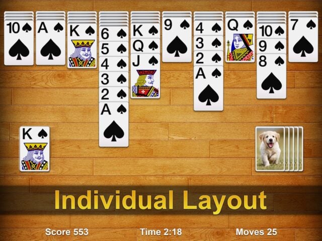 Spider Solitaire ・2023 for iOS