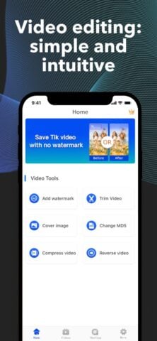 TikSave – Tik Video Downloader para iOS
