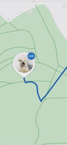 Tractive GPS para perro y gato para iOS