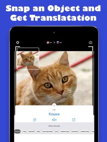 iOS 版 Translate –  Camera Translator