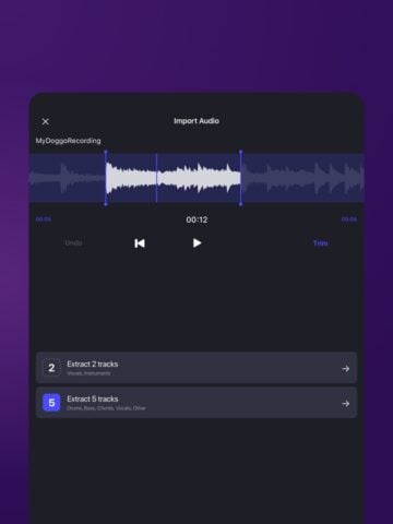 Unmix AI Voice Drums Extractor for iOS