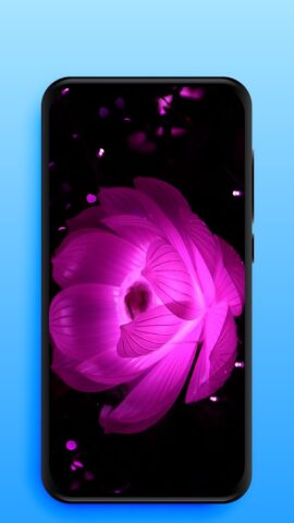 Video Live Wallpapers لنظام Android
