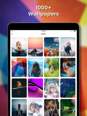 iOS용 Live Wallpaper Maker-실시간 월 페이퍼