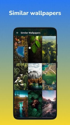 wallspic – خلفيات والخلفيات لنظام Android