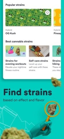 Weedmaps: Cannabis, Weed & CBD para iOS