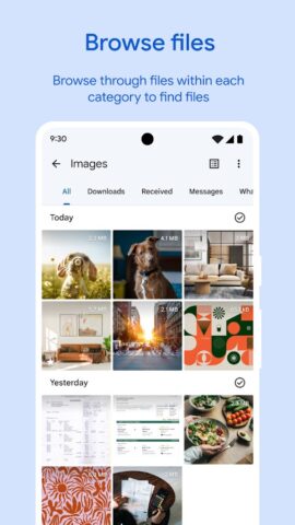 Google Files — скриншот 2