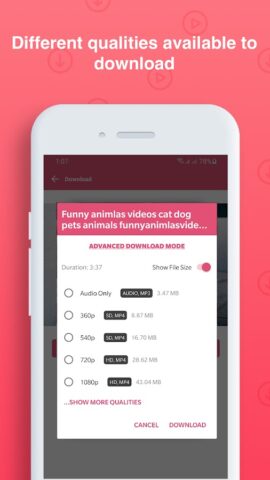 HD Video Downloader для Android — скриншот 5