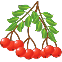 Лекарственные растения для Android