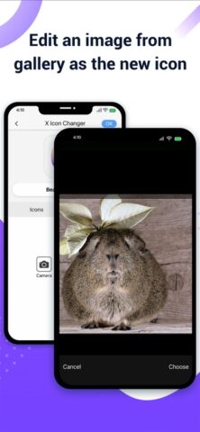 X Icon Changer: Customize Icon для iOS — скриншот 3