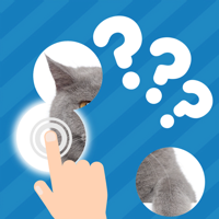 101 Картинка : Фото Викторина для iOS