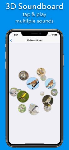 200+ Звуки птиц для iOS — скриншот 3