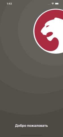 АЗС IRBIS для iOS — скриншот 1