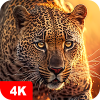 Обои с животными 4K для Android