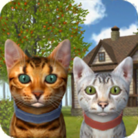 Симулятор Кота и Кошки для iOS