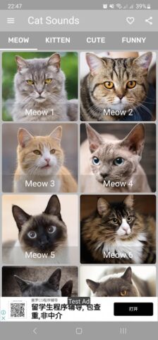 Кошачьи звуки для Android — скриншот 1