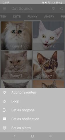 Кошачьи звуки для Android — скриншот 3