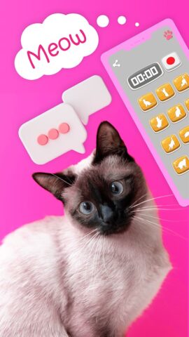 Переводчик на кошачий язык для Android — скриншот 5