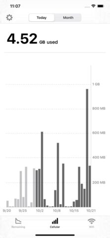 Data Remaining для iOS — скриншот 3