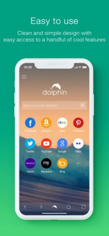 Dolphin Mobile Browser для iOS — скриншот 2
