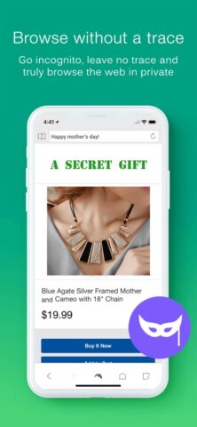 Dolphin Mobile Browser для iOS — скриншот 4