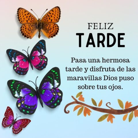 Frases de Buenos Días для Android — скриншот 4