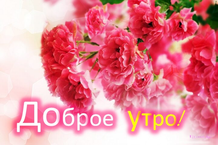 Доброе утро Доброй ночи для Android — скриншот 2