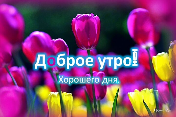 Доброе утро Доброй ночи для Android — скриншот 3
