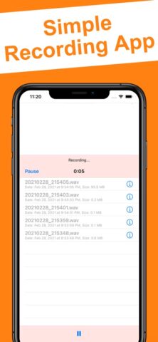 High Quality Voice Recorder для iOS — скриншот 1
