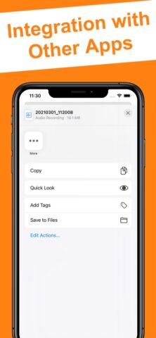 High Quality Voice Recorder для iOS — скриншот 3
