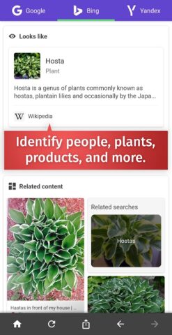 Reverse Image Search – RIMG для Android — скриншот 3