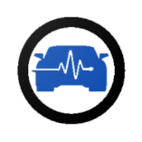 InfovehículoConsultarMatrícula для Android